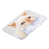 Trident de Kat Magneet 03 (Linkerzijde)