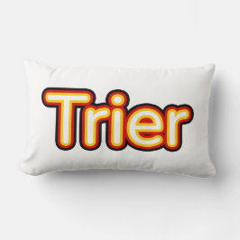 Trier Deutschland Duitsland Kussen