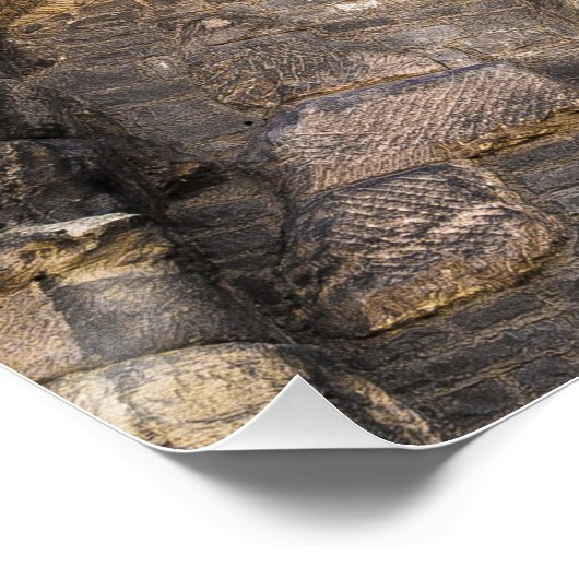 Trier Porta Nigra Rijnland-Palts Duitsland Perfect Poster (Hoek)