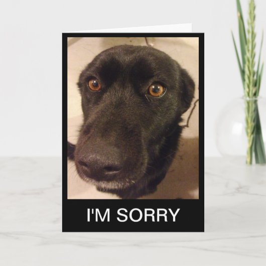 Triest, sorry Kaart (Voorkant)