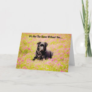 Trieste Dog Sweet Miss Missing You Kaart