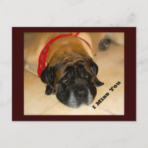 Trieste Engels Mastiff Dog Ik mis je Briefkaart