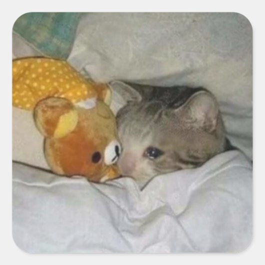 Trieste kat in bed vierkante sticker (Voorkant)