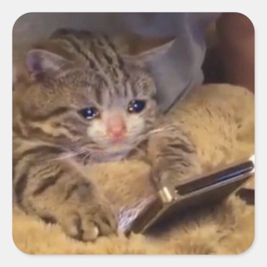 trieste kat op telefoon vierkante sticker (Voorkant)