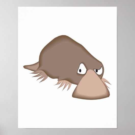 trieste platypte poster (Voorkant)