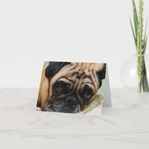 Trieste Puggy Note Kaart