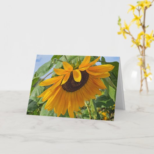 Trieste zonnebloem kaart (Gele Bloem)