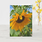 Trieste zonnebloem kaart (Gele Bloem)
