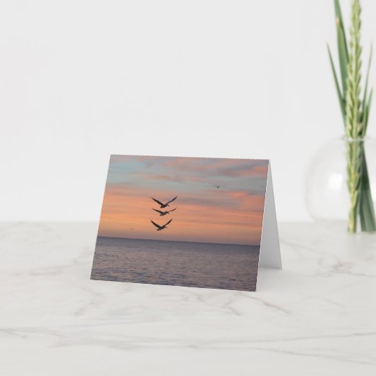 Trifecta fly over gevouwen bedankkaart (Voorkant)