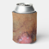 Trifid and Lagoon Nebulae Blikjeskoeler (Blikje Achterkant)