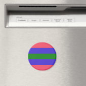 Trigender Pride Vlag Magneet (Insitu (Vaatwasser))