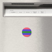 Trigender Pride Vlag Magneet (Insitu (Vaatwasser))