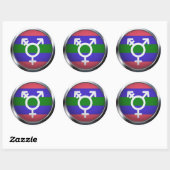 trigender ronde sticker (Vel)