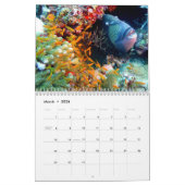 Trigger Fish 2025 Kalender (Mar 2026)