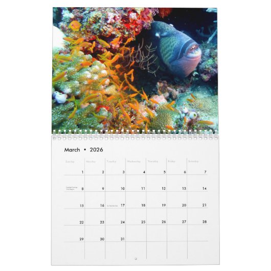 Trigger Fish 2025 Kalender (Mar 2026)