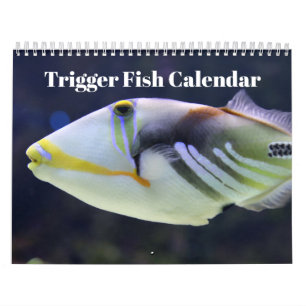 Trigger Fish 2025 Kalender