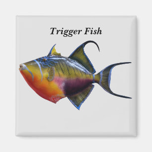 Trigger Fish Magneet