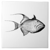  trigger vis Antiek Hawaiian print blanco Tegeltje (Voorkant)