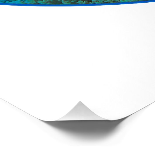 Triggerfish bij koraalrif - Fotografisch ontwerp | Perfect Poster (Hoek)