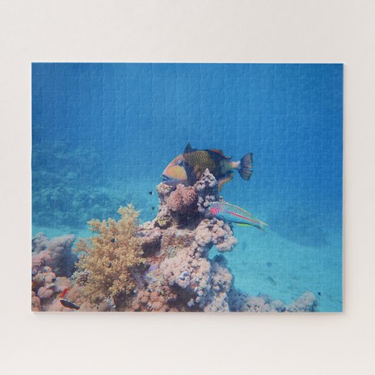 Triggerfish rust op een koraalblok bij koraalrif | legpuzzel (Horizontaal)