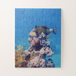 Triggerfish - Schilderachtig op een koraalblok Legpuzzel
