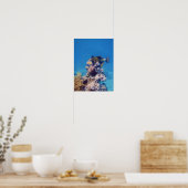 Triggerfish - Schilderachtig op een koraalblok |  Poster (Keuken)