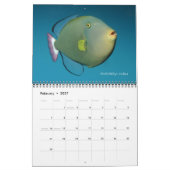 Triggerfishes Wall Calendar door J.W. Fatherree. Kalender (Feb 2027)
