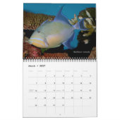 Triggerfishes Wall Calendar door J.W. Fatherree. Kalender (Mar 2027)