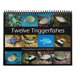 Triggerfishes Wall Calendar door J.W. Fatherree. Kalender