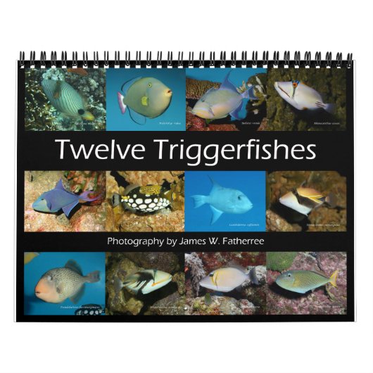 Triggerfishes Wall Calendar door J.W. Fatherree. Kalender (Hoes)