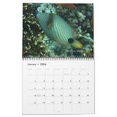 Triggerfishes Wall Calendar door J.W. Fatherree. Kalender (Jan 2026)