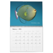 Triggerfishes Wall Calendar door J.W. Fatherree. Kalender (Feb 2026)