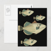 Triggervis Briefkaart (Voorkant / Achterkant)