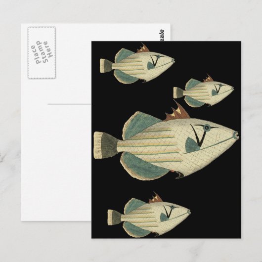 Triggervis Briefkaart (Voorkant / Achterkant)