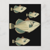 Triggervis Briefkaart (Voorkant)