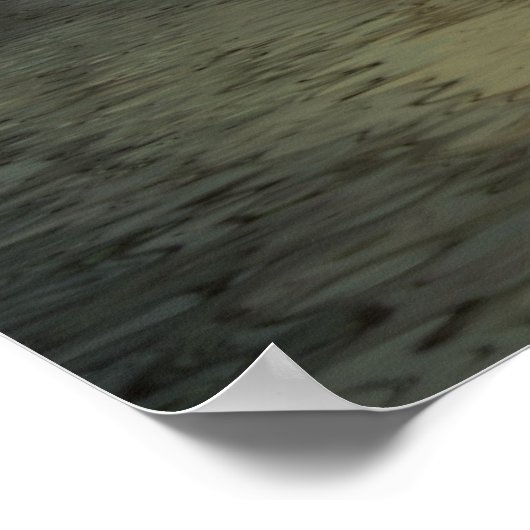 TRILIGHT POSTER (Hoek)