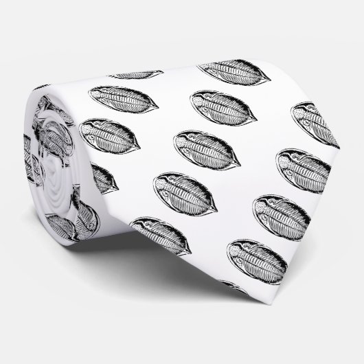 Triliobiet fossiel stropdas (Opgerold)