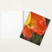 Triljaren Oranje Klaproos Bloemige Planner – Macro (Display)