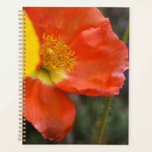 Triljaren Oranje Klaproos Bloemige Planner – Macro