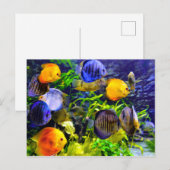 Trillend kleurig aquatisch tropisch Zee vis Briefkaart (Voorkant / Achterkant)