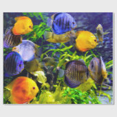 Trillend kleurig aquatisch tropisch Zee vis Cadeaupapier (Vlak)