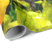 Trillend kleurig aquatisch tropisch Zee vis Cadeaupapier (Rol Hoek)