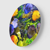 Trillend kleurig aquatisch tropisch Zee vis Grote Klok (Hoek)