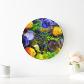 Trillend kleurig aquatisch tropisch Zee vis Grote Klok (Huis)