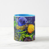 Trillend kleurig aquatisch tropisch Zee vis Mok (Midden)