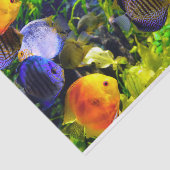 Trillend kleurig aquatisch tropisch Zee vis Tissuepapier (Detail)