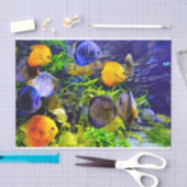 Trillend kleurig aquatisch tropisch Zee vis Tissuepapier (Craft)