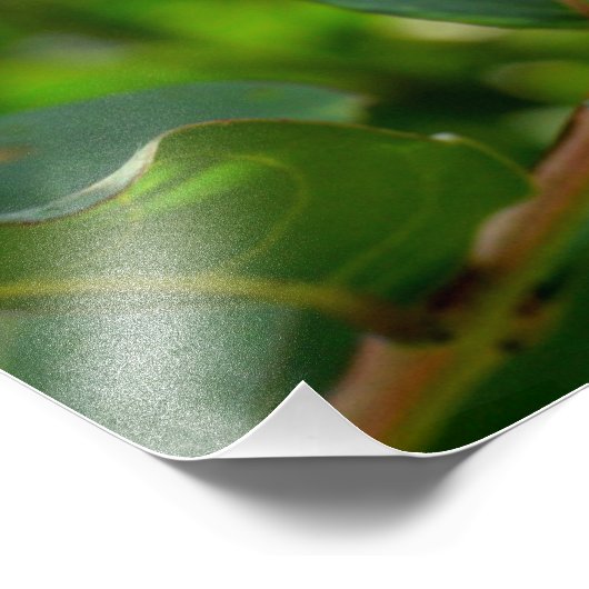 Trillende kruid foto afdruk (Hoek)