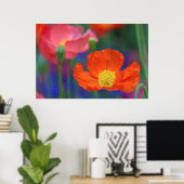 Trillende oranje klaproosbloesem poster (Thuiskantoor)