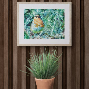 Trillende waterverf Robin op doornen Foto Afdruk